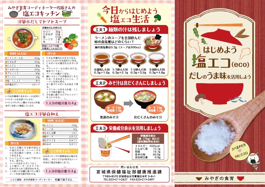 H30作成リーフ_塩eco