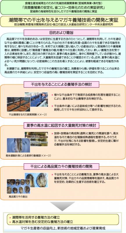 中課題1 小課題2：潮間帯での干出を与えるマガキ養殖技術の開発と実証の図解