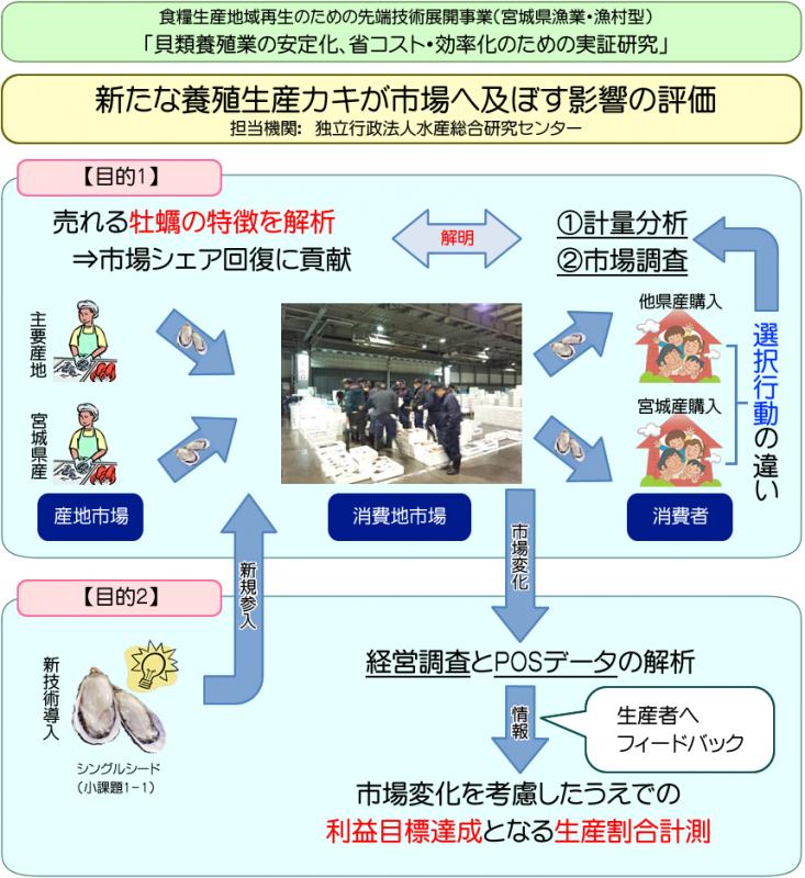 中課題2 小課題2：新たな養殖生産カキが市場へ及ぼす影響の評価の図解