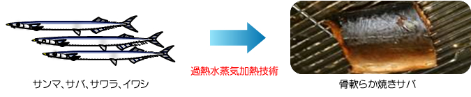 サンマ、サバ、サワラ、イワシから骨軟らか焼きサバ（過熱水蒸気加熱技術）