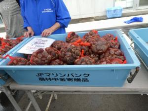 七ヶ浜町での活動2