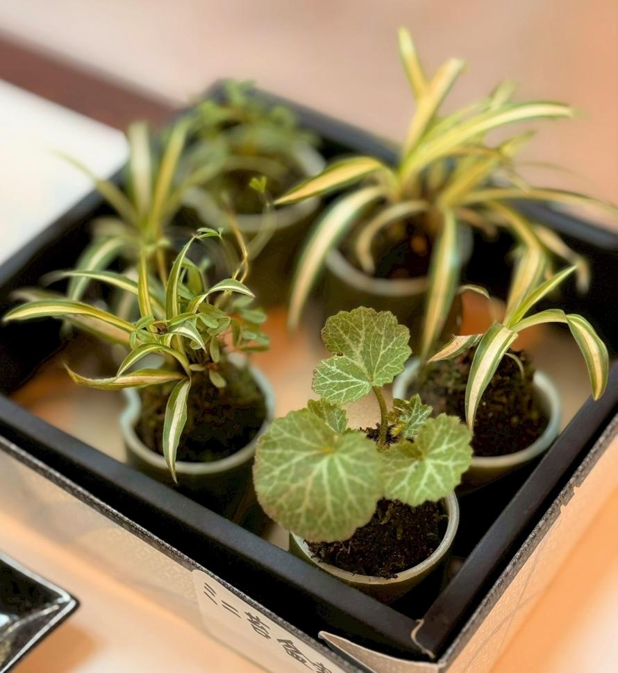 栗原地方青年文化祭13