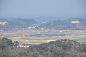 平成25年東松島大高森B