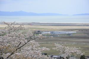 平成28年東松島市滝山公園F