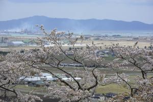 平成28年東松島市滝山公園H