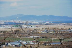 平成29年度東松島市滝山公園H