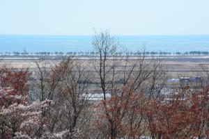 平成30年度東松島市滝山公園C