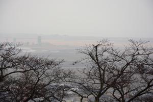 令和元年度東松島市滝山公園G