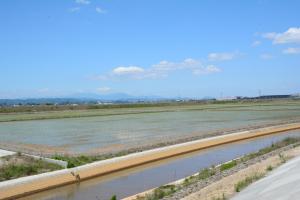 令和元年度岩沼海浜緑地南ブロックB