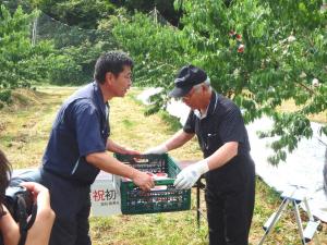 尾形組合長が収獲した桃をパッケージに詰め,市場の担当者に手渡す様子