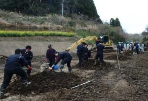 カキの植栽作業の様子