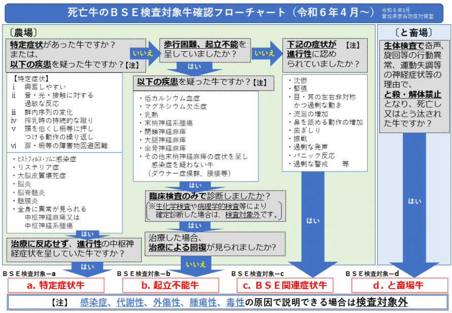 BSE_flowchart