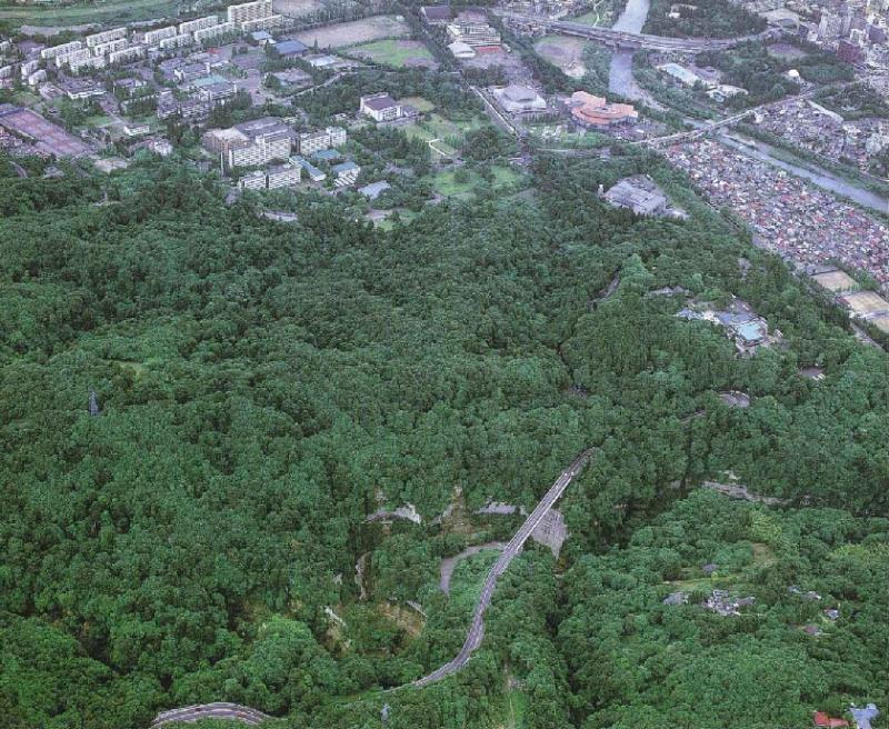 青葉山空撮