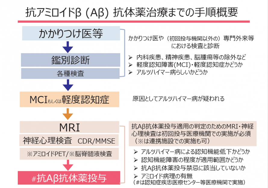 抗アミロイドβ (Aβ) 抗体薬治療までの手順概要