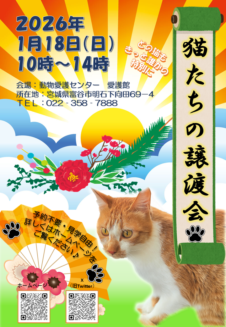 猫の譲渡会（1月）