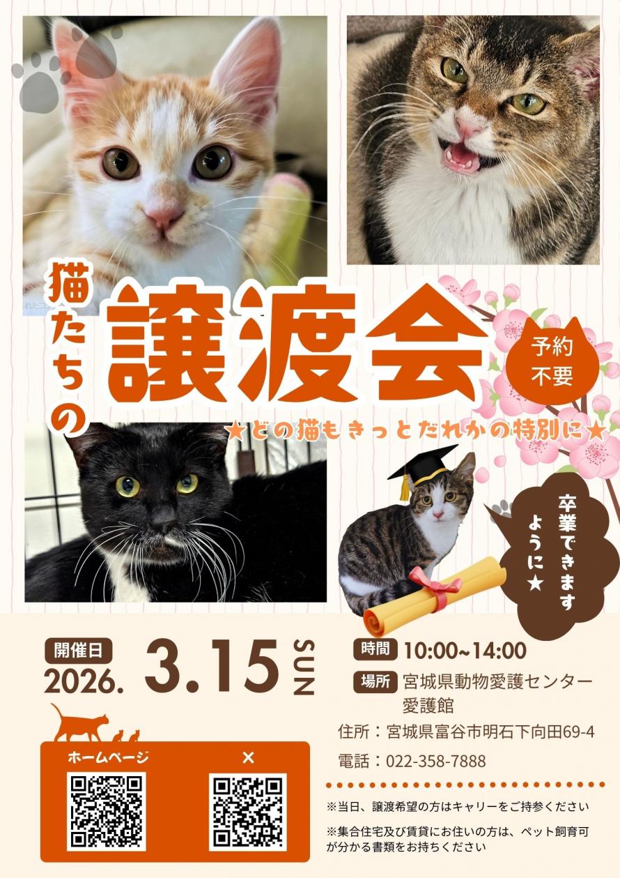 猫の譲渡会（3月）