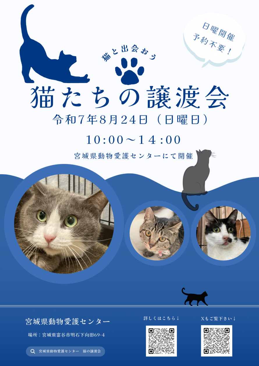 8月譲渡会チラシ