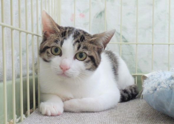 maru2