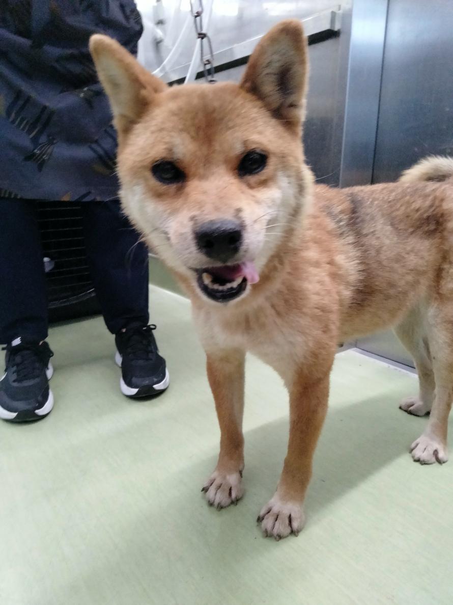 みにびぶ