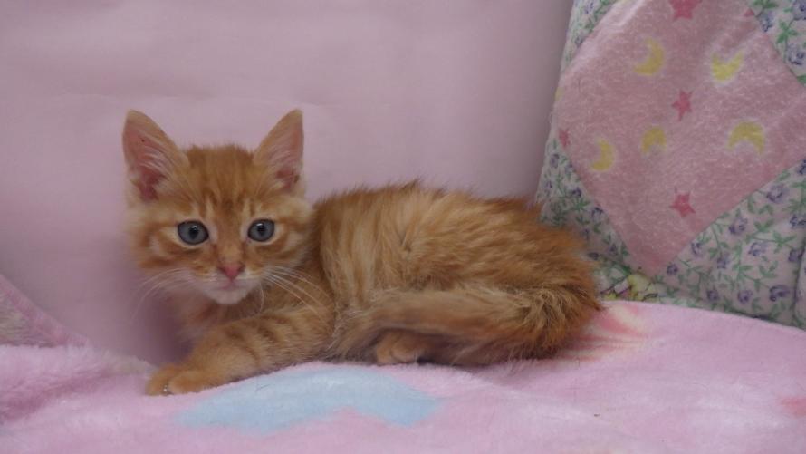 じじじじじじっじいっじ