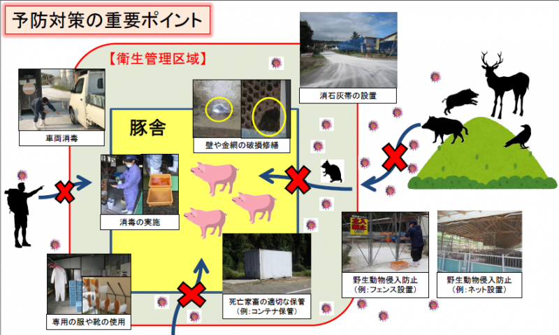 ポイント図