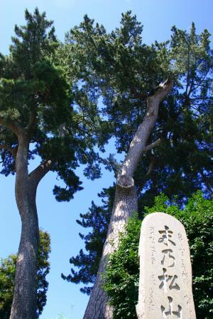 恋愛成就を願って「末の松山」