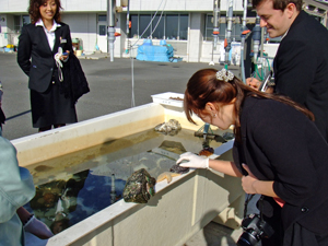 Miyagi Prefecture Fisheries Technology Institute