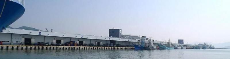 石巻漁港の写真