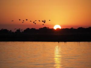 チョベ川の夕日