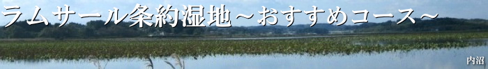 ラムサール条約湿地　～おすすめコース～のロゴ