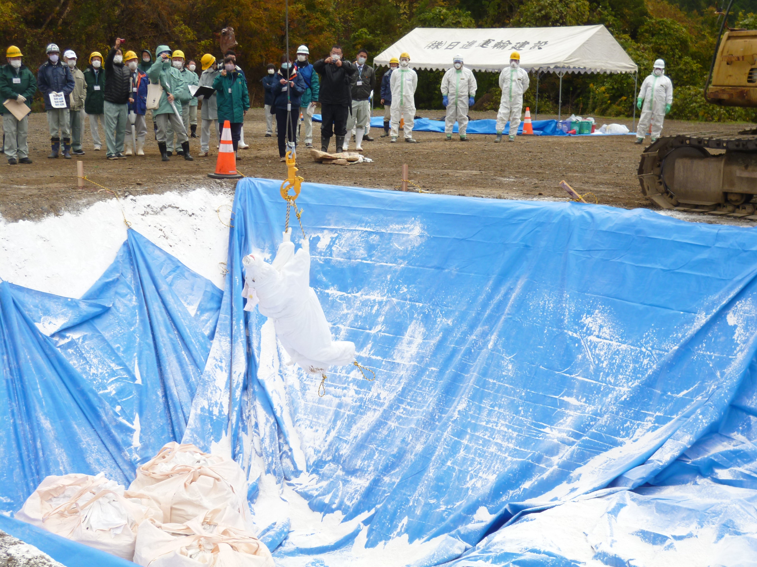 埋却の様子(豚の模型)