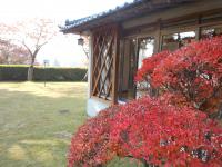 庭園(秋)4