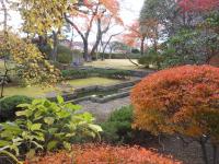 庭園(秋)3