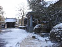 庭園(冬)6
