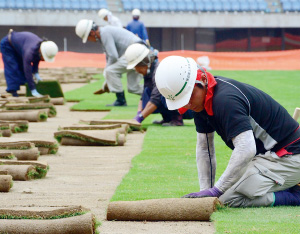 試合会場の芝生張り替えの様子の写真