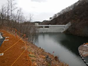 12月20日(左岸側から堤体)