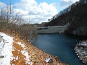 1月3日(左岸側から堤体)