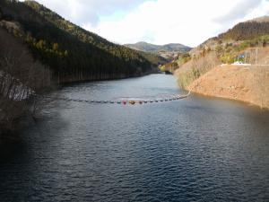 1月3日(堤体から上流)