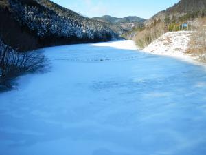 1月24日(堤体天端から上流面)