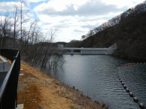 左岸側から堤体(3月21日)