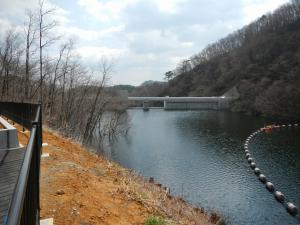 左岸側から堤体(4月4日)