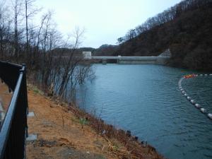 左岸側から堤体(4月7日)