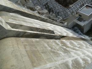 堤体天端から下流面(4月7日)