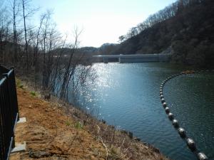 左岸側から堤体(4月11日)