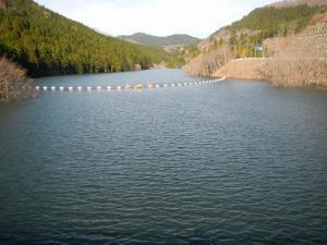 堤体からダム湖(4月11日)