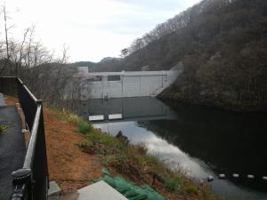 左岸側から堤体(4月26日)