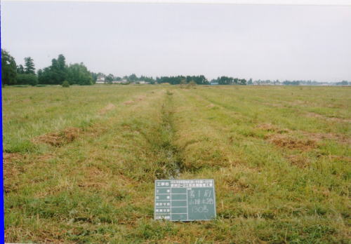 工事前の状況の写真