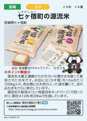 源流米カード(表)