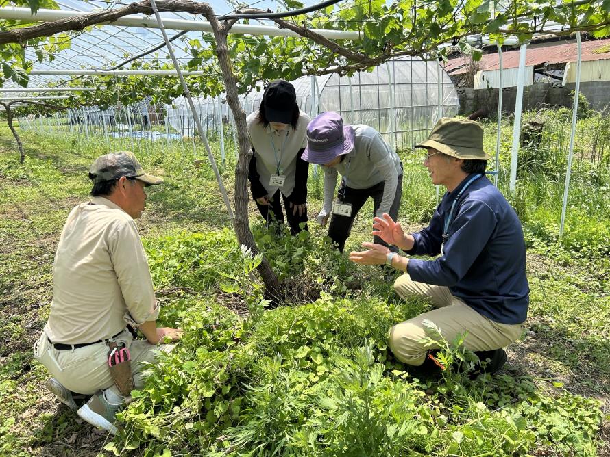 シャインマスカットの栽培指導の様子