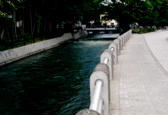 遊歩道(学問の道)